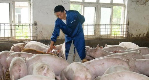 中国公司助力突尼斯教育智能化