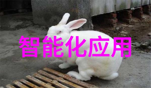 大屏体验世界杯 五大妙招帮你解决投影散热